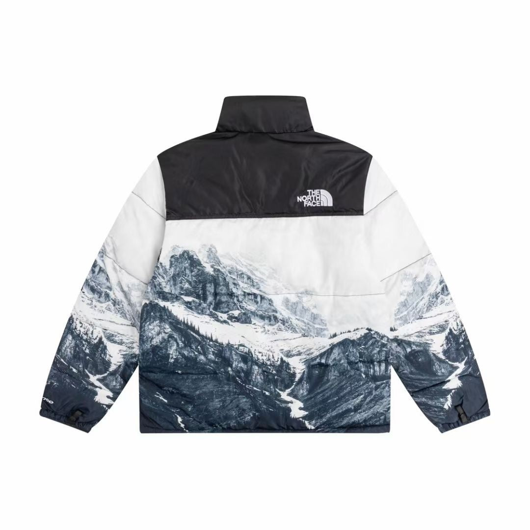 Manteau The North Face