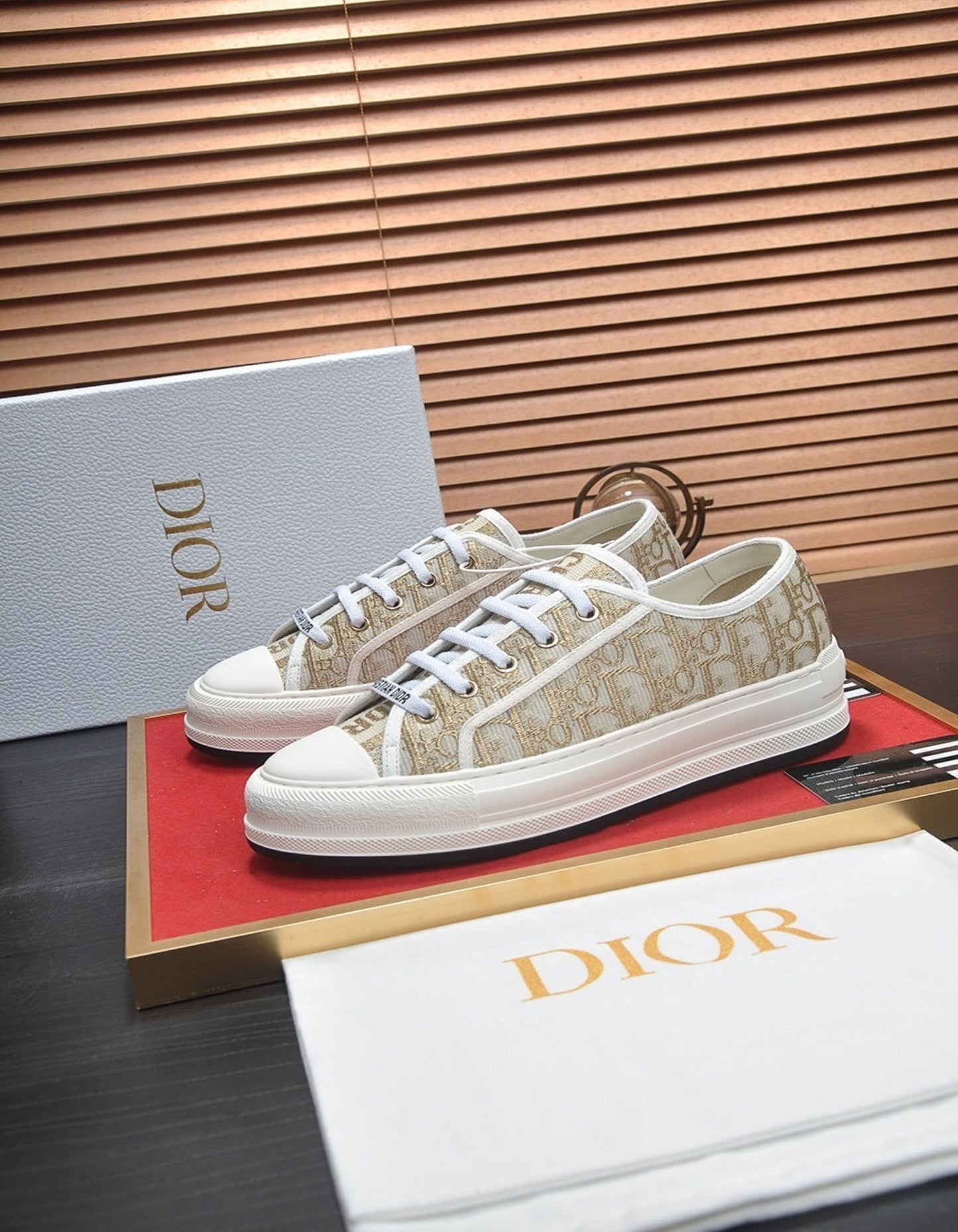 Chaussure Dior
