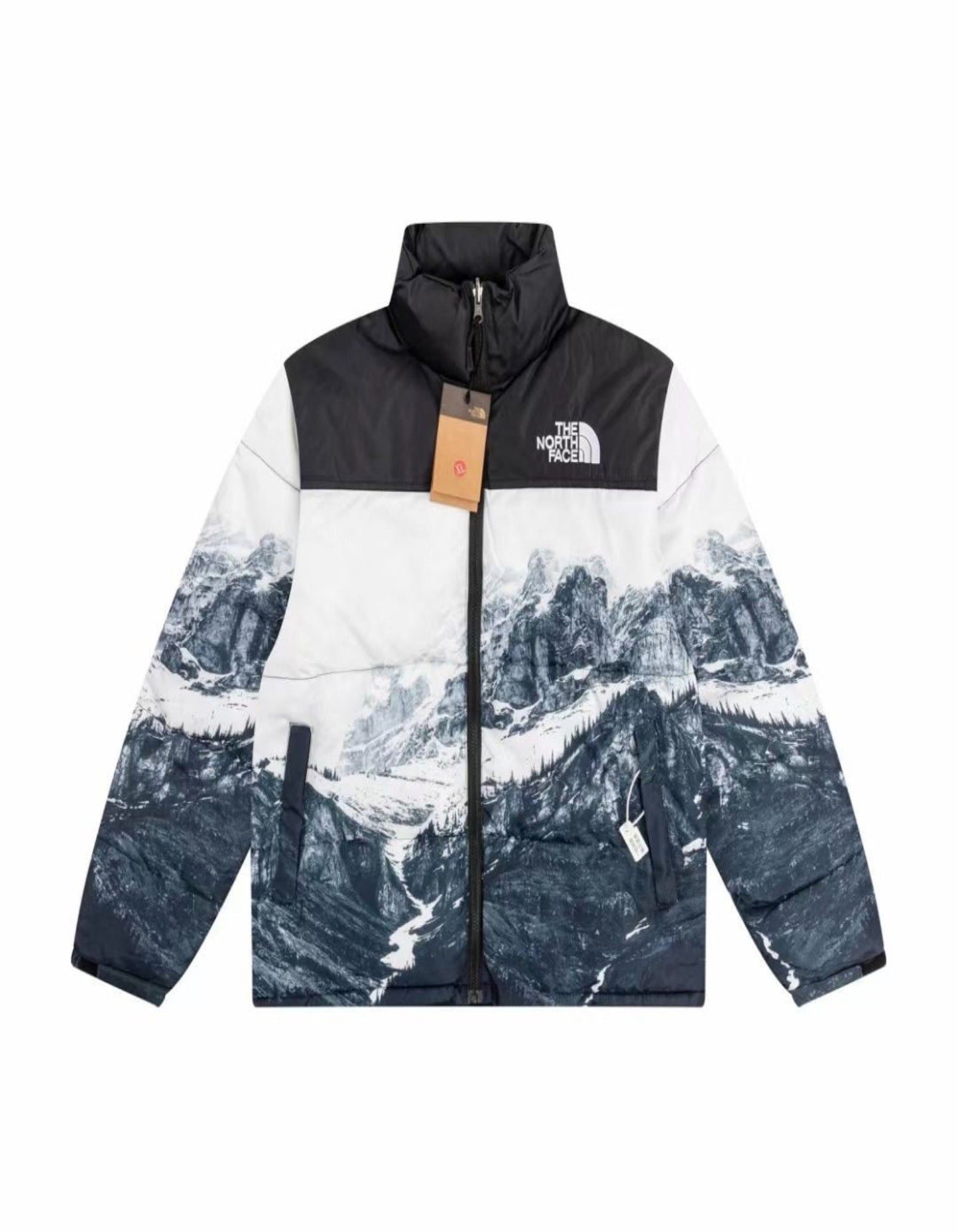 Manteau The North Face