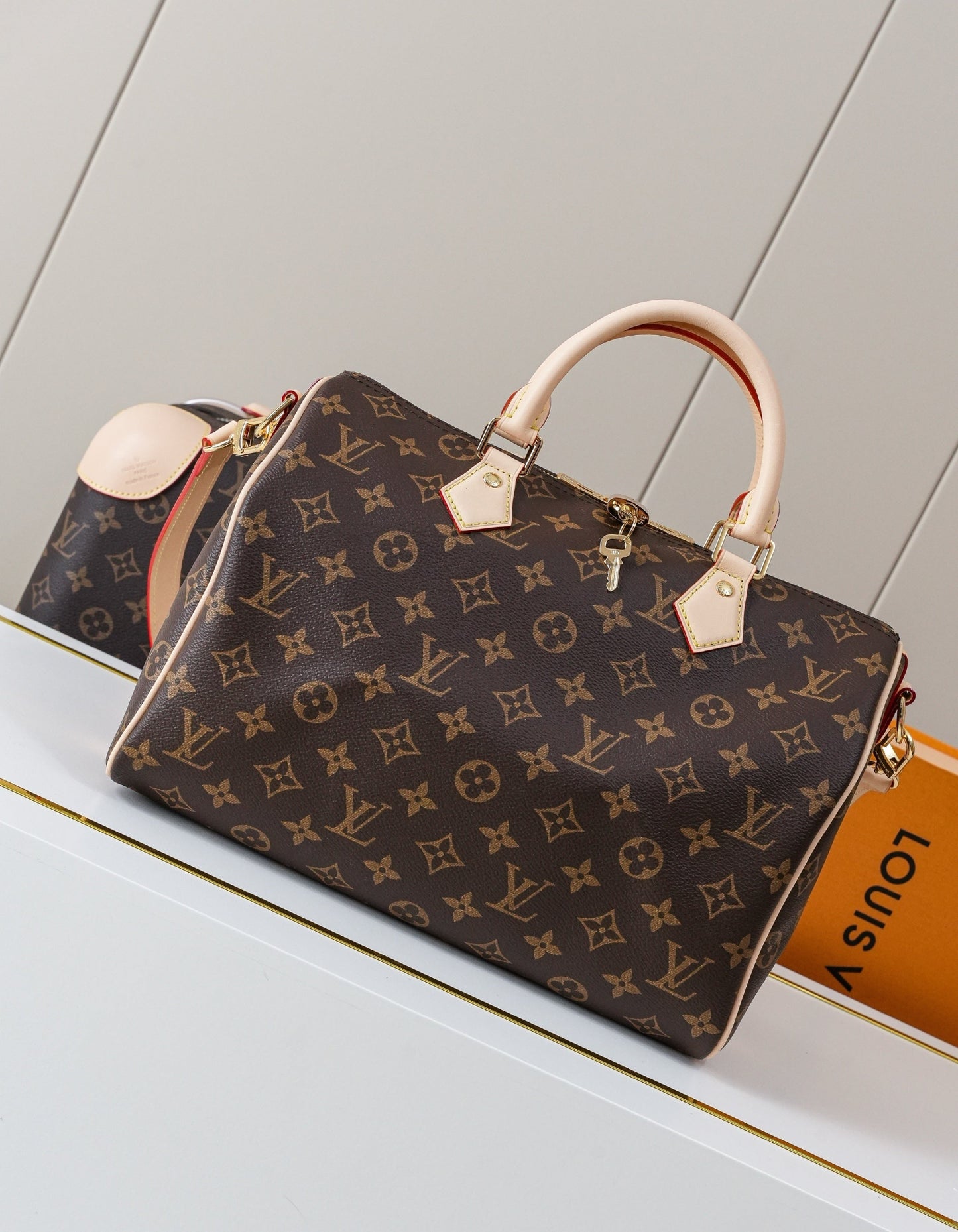 Sac à main Louis Vuitton