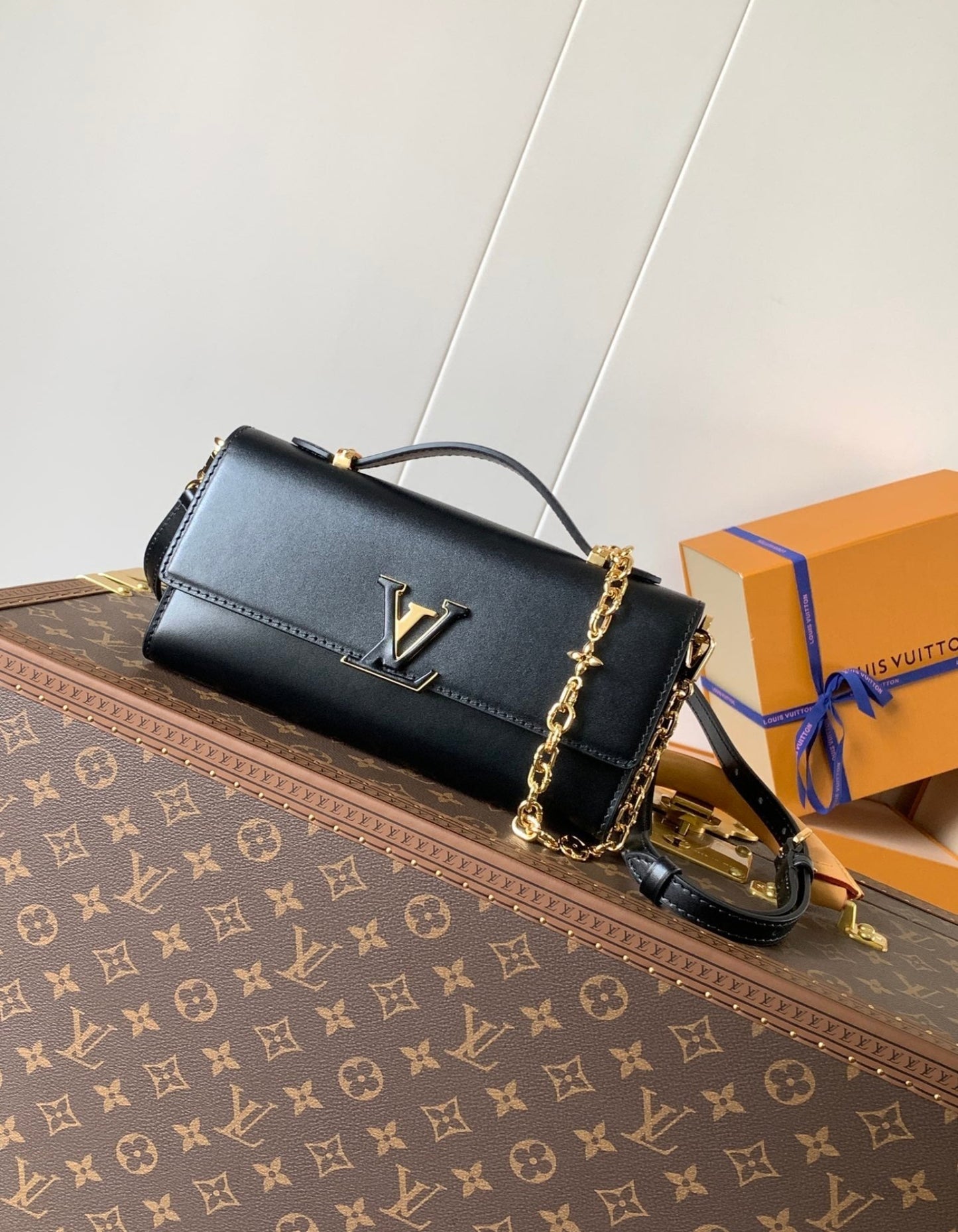 Sac Louis Vuitton